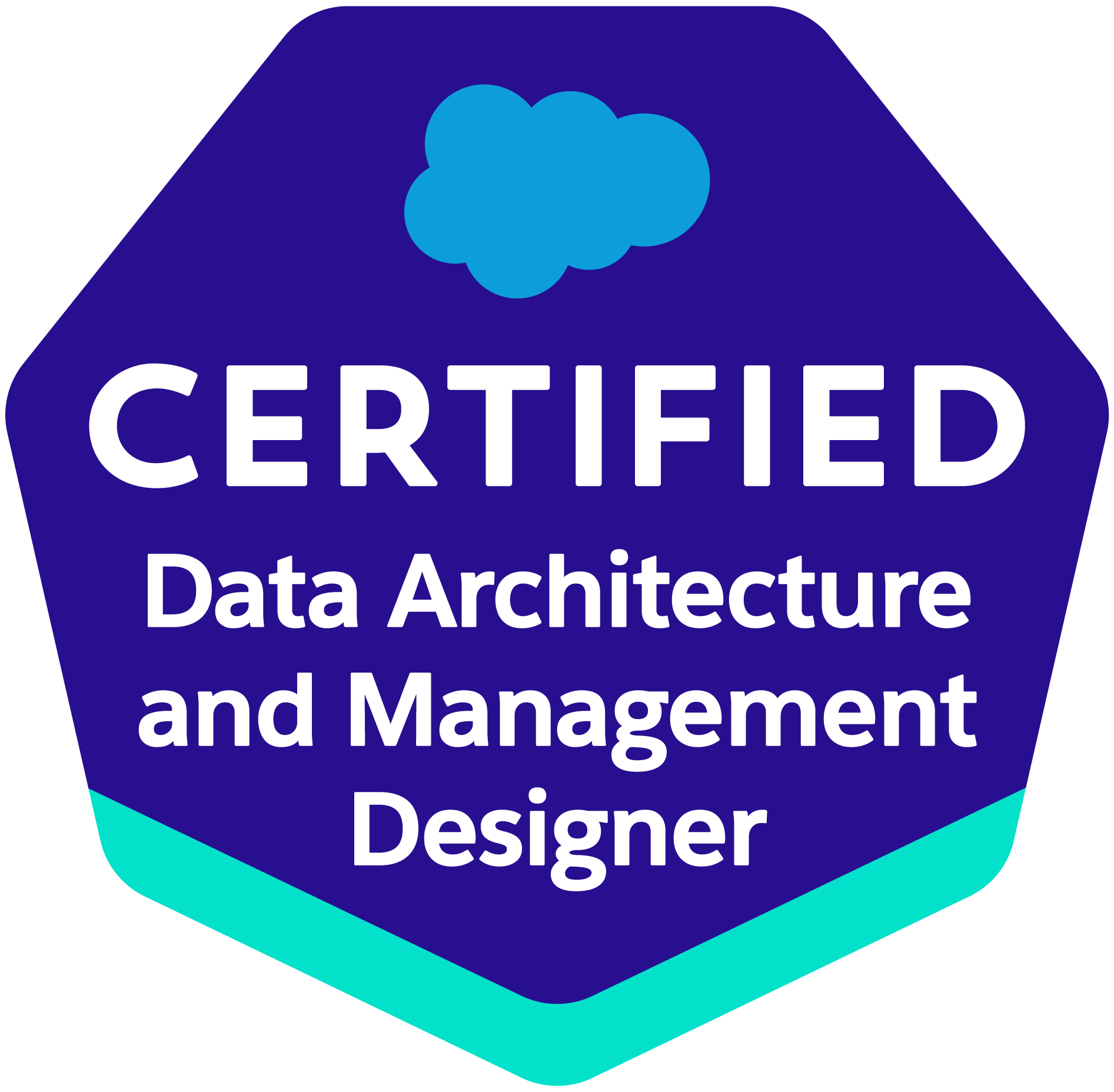 AMDIS certificated as Salesforce Data Architecture and Management Designer